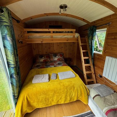 unique sheperds hut ensuite&kitchenette Clodock Extérieur photo